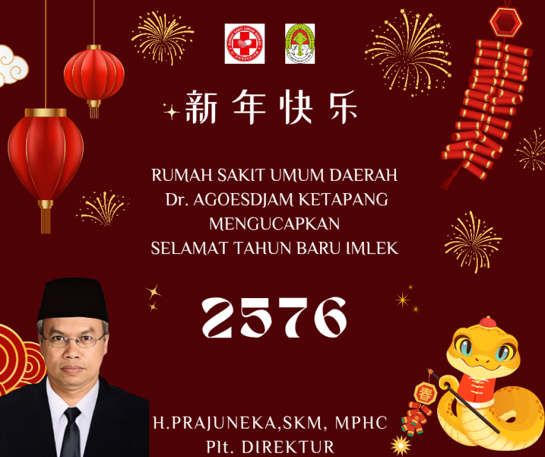 Red and Gold Illustrative Fesive Traditional Happy Lunar New Year Chinese S_20250123_132719_0000