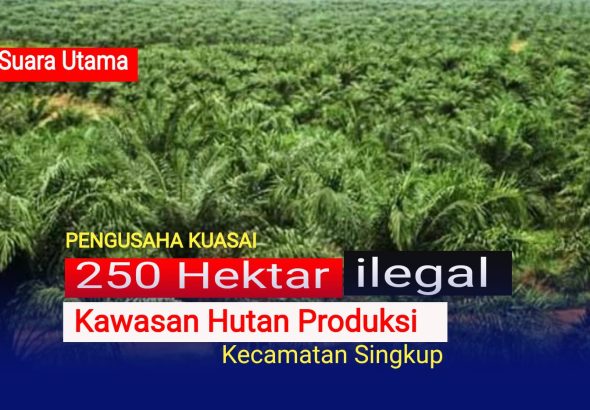 IMG-20250830-WA0015
