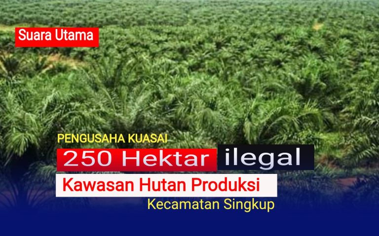 IMG-20250830-WA0015